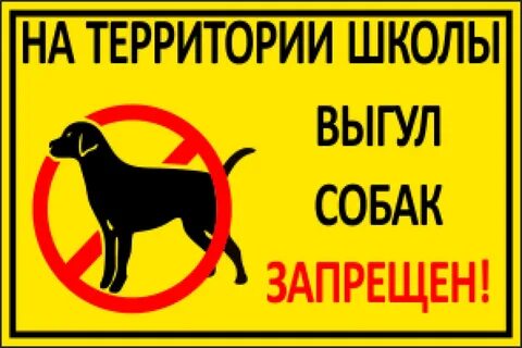 Выгул собак запрещен!.